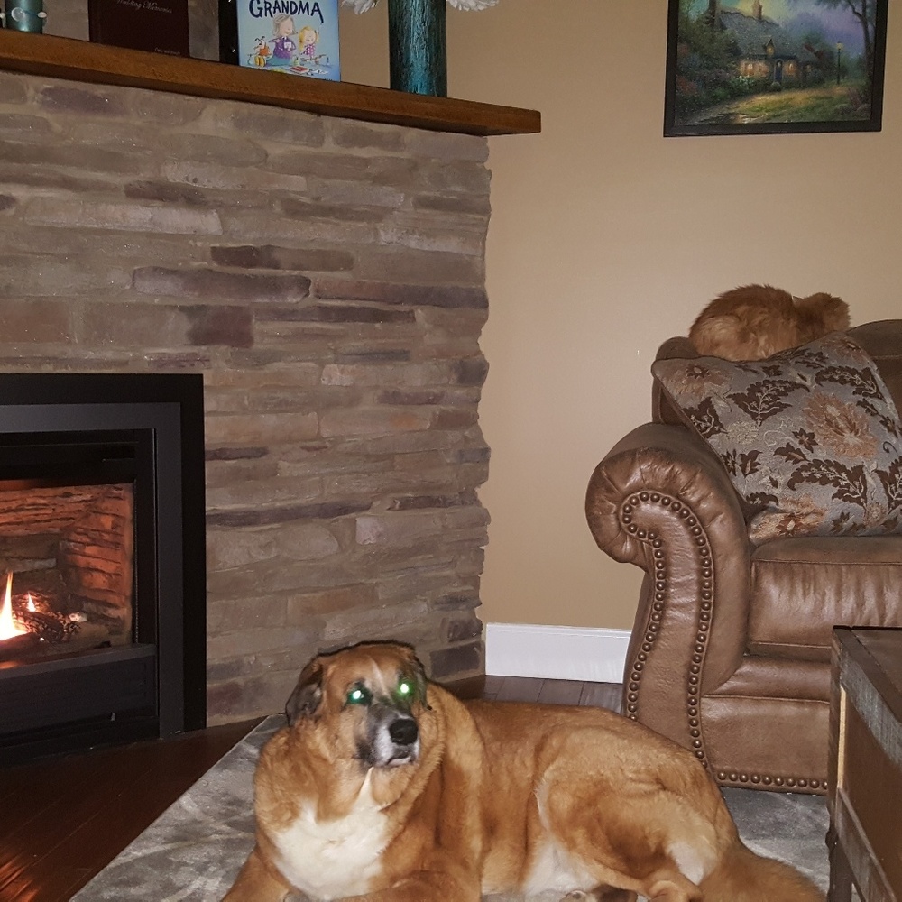 Meet your Posher, Joseph